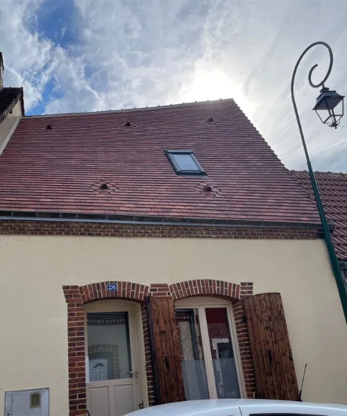 nettoyage toiture tresson